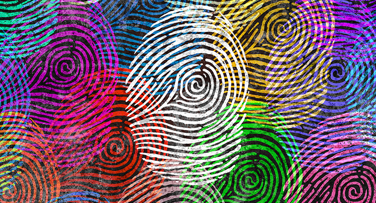 Diversity, Inclusion and Belonging