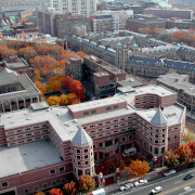 CEO Institute