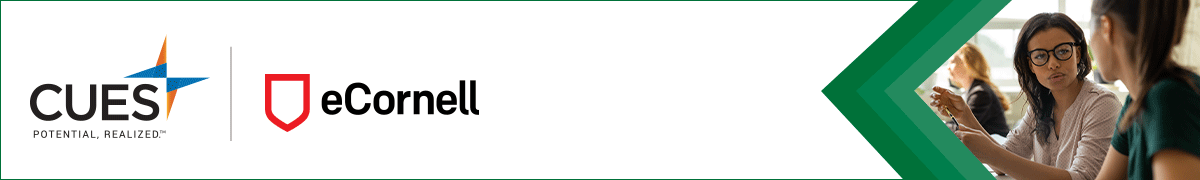 amp banner ad